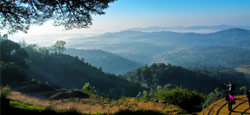 Coorg - Kabini Tour Package