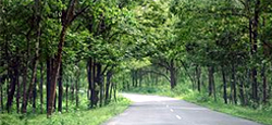Kabini - Coorg Tour Package
